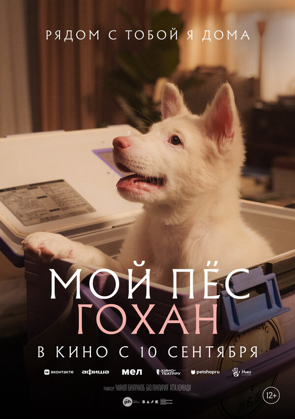 Мой пёс Гохан постер - смотреть онлайн